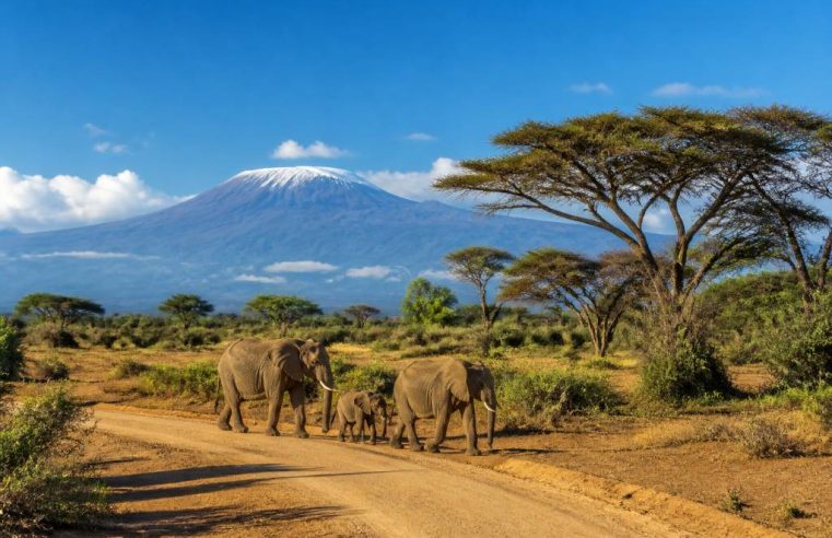Meilleur pays d afrique : quelles destinations privilégier pour un voyage réussi