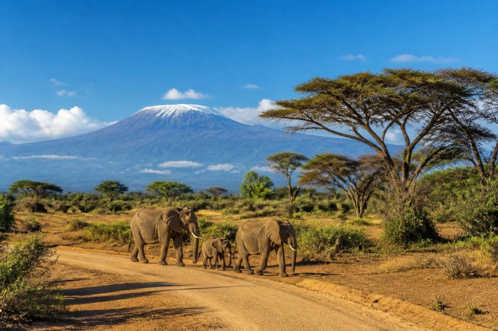 Meilleur pays d afrique : quelles destinations privilégier pour un voyage réussi